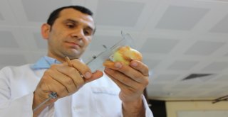 Bu Yaza Damgasını Vuran Soğan Tam Bir Şifa Deposu