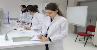 Bilim Ve Sanat Şenliği Başlıyor