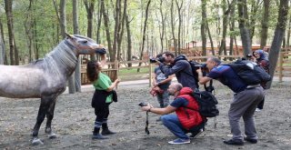 Fotoğraf Tutkunları Kocaelide Buluştu