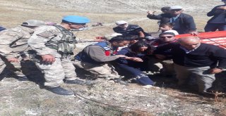 Ayı Ve Kurt Saldırısından Gizlenerek Kurtulan Kadın, Kuşburnu Yiyerek Hayatta Kaldı