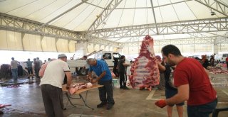 Osmangazide Hijyenik Kurban Kesimi