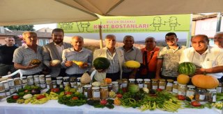 Acı Biber Yemek İçin Yarıştılar