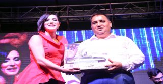 Yenice Barış Ve Kültür Festivali