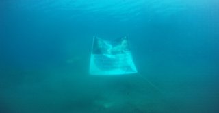 Engelli Dalış Rekortmeninden Anlamlı Dalış