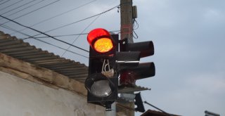 Bu Kumrunun Yuvası Güvenli Yerde