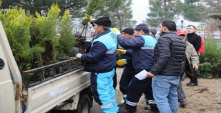 Fidanlar Yeniden Yeşil Bursa İçin Toprakla Buluştu