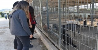 Salihlide Can Dostlar Unutulmadı