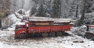 Yenice Ormanlarına İlk Kar Düştü