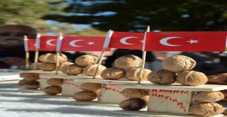 Atılan Ceviz Kabuklarından Süs Eşyası Yapıyor