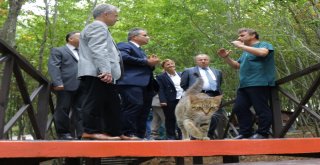 Samsundaki Kedi Kasabasında Çocuklara Hayvan Sevgisi Aşılandı