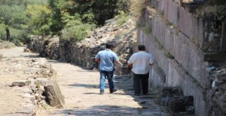 Kazılar Aigaideki Ziyaretçi Sayısını 10 Bine Çıkardı