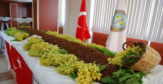 Salihlide Sezonun İlk Üzümü Kilosu 170 Tlden Satıldı