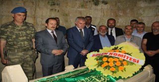 Dede Korkut Mezarı Başında Anıldı