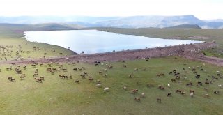 Büyükşehir Gölet Yapımında Türkiye Rekoru Kırdı