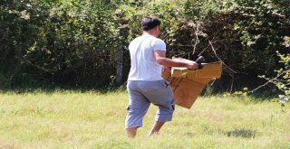 Tatilci Kaplumbağaya Siper Oldu