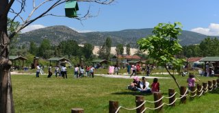 Turhal Da Varvara Piknik Alanı Hafta Sonu Dolup Taşıyor
