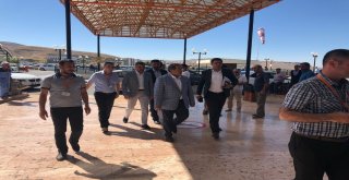 Kardiyoloji Hastanesinin Yapımı Hızlandırılacak