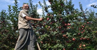 75 Yaşındaki Dede Gençlere Taş Çıkartıyor