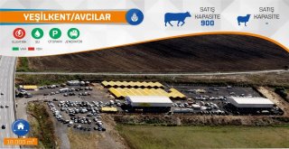 İbb, Kurban Bayramına Hazır