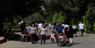 (Özel Haber) Gaziantep Hayvanat Bahçesi Rekorları Alt Üst Ediyor