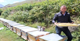 Hava Şartları Anzer Balını Vurdu