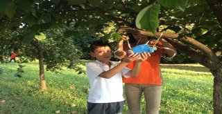 Kartepeli Miniklerin Hayvan Sevgisi