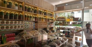 (Özel) Güneş Yanıklarına Bitkisel Çözüm