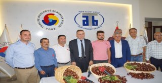 Aydında Sezonun İlk Kestanesi Borsaya Teslim Edildi