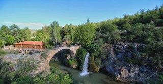 Türkiyeyi Karış Karış Geziyorlar