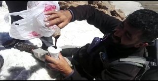 Dağcıların 5 Bin 58 Rakımlı Süphan Dağında Karlı Pekmez Keyfi