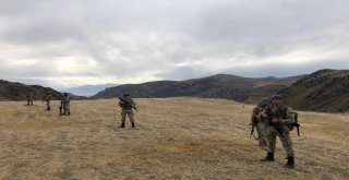 Küçük Sedanuru ‘Atak Buldu