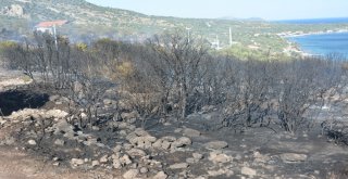 Çanakkalede Makilik Yangını