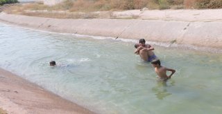 Tehlikeyi Bile Bile Atlıyorlar