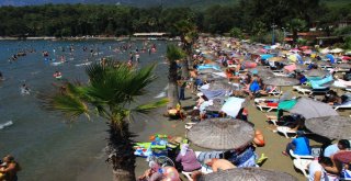 Muğlaya 7 Günde 1,5 Milyon Araç, 10 Milyon Ziyaretçi