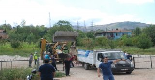 Uygulama Noktasında Durdurulan Kamyonetteki Boğa Kaçtı