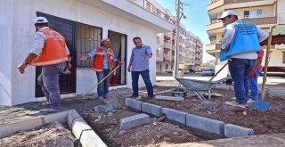 Ceylanpınarlılar Zeytin Dalı Parkına Kavuşuyor