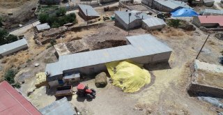 Sivasta Şarbon Şüphesiyle Köyde Panik