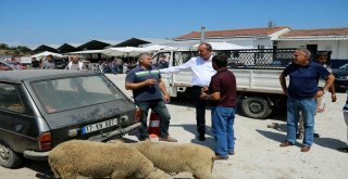 Bigada Ücretsiz Kesim Noktaları Oluşturuldu