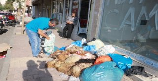 Mahalle Muhtarından Örnek Davranış