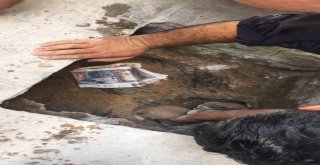 (Özel) Sultanbeylide Su Borusuna Sıkışan Yavru Kedileri İtfaiye Kurtardı