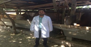 Şarbon İle Mücadelede Güçlü Bir Çalışma Yapılmalı