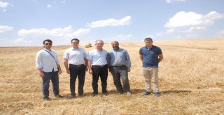 Bulanıkta Biçerdöverler Denetlendi