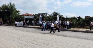 Ferrero, Fındık Üreticilerini Bahçelerde Bilgilendiriyor