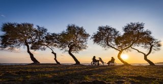 Can Yoldaşım İsimli Fotoğraf Yarışmasının Sonuçları Açıklandı