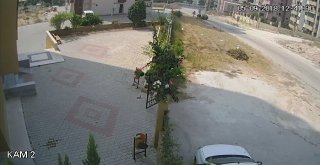 4 Bisiklet Çaldı Paraya İhtiyacım Vardı Dedi