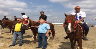 Anadolunun Dört Bir Yanından Gelen Atlı Cirit Sporcuları Hünerlerini Sergiledi