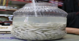 (Özel) Kenger Sakızı Dolarla Yarışıyor