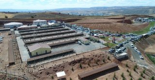 Sokak Hayvanlarına 7,5 Milyon Liralık Yeni Yuva