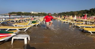 Sabah Plaja Gelen İşletmeci Gözlerine İnanamadı