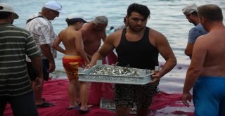 (Özel Haber) Balıkçılar Bu Balığa Av Yasağı Getirilmesini İstiyor